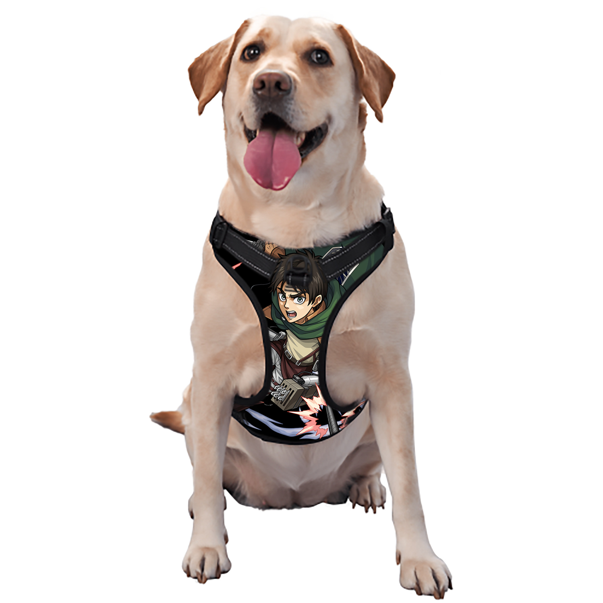 （画像用） 進撃の巨人 エレン･イェーガー Attack on Titan Eren Jäger ペット用ハーネス